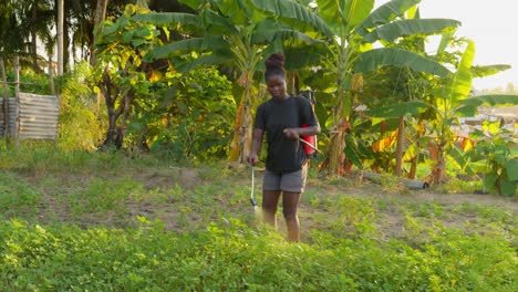 black-female-farmer-africa-Spray-Fumigation-for-Weed-Control-Toxic-Pesticides-and-Insecticides-on-Plantations