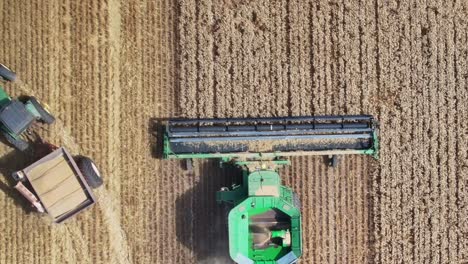 Rising-overhead-of-a-combine-harvester-working-and-a-tractor-with-bin-leaving-the-harvester-and-moving-off