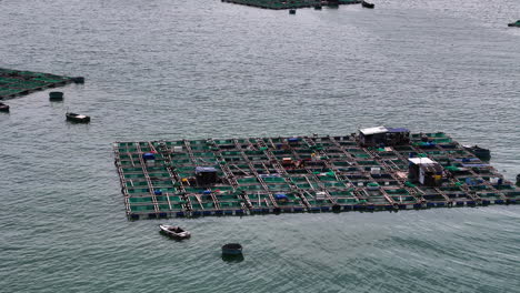 Luftaufnahmen-Von-Vietnamesischen-Fischzuchtfarmen