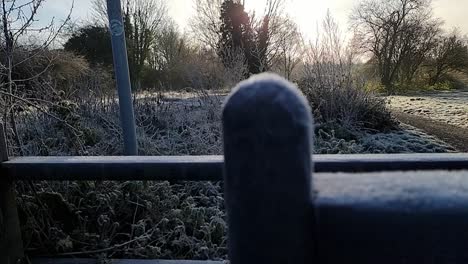 Frosty-gate-leading-to-crisp-white-chilly-dog-walking-park,-Seasonal-winter-scene