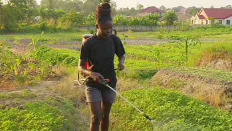 black-female-farmer-Spray-Fumigation-for-Weed-Control-Toxic-Pesticides-and-Insecticides-on-Plantations