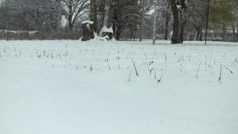 Snow-covers-the-ground-in-winter-storm-as-slow-motion-snowflakes-cover-the-ground