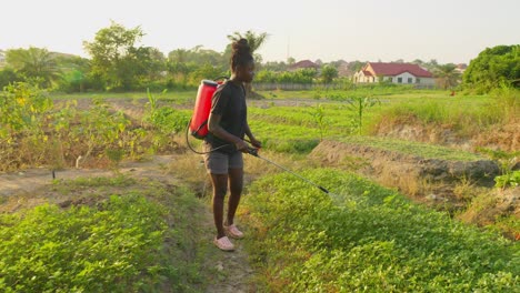 Joven-Agricultora-Negra-África-Fumigación-Por-Aspersión-Para-El-Control-De-Malezas-Pesticidas-E-Insecticidas-Tóxicos-En-Plantaciones