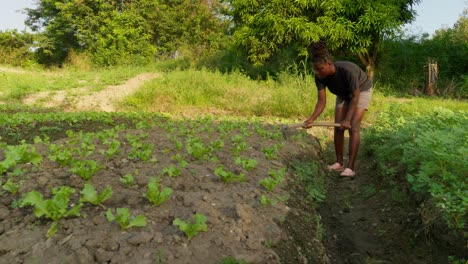Mujer-Africana-Negra-Agricultor-Jardinería-Cultivo-Propio-Alimento-Vegetal-En-África-Campo-Pobre-Concepto-De-Crisis-Alimentaria