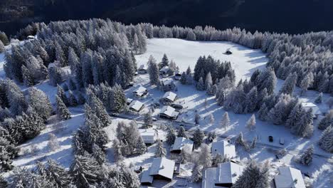 Brambrüesch,-Switzerland,-drone-tilt-up-shot-revealing-Swiss-Alps-mountains