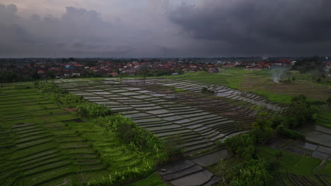 Drohnenflug-über-überflutete-Reisfelder-Auf-Bali-Mit-Vorbeifliegenden-Reihern