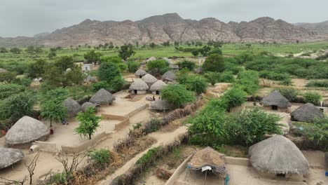 Thatched-roofs-in-lush-Nagarparkar-village,-Pakistan