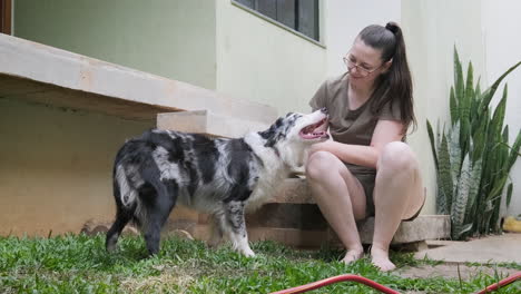 Woman-brushing-her-Australian-shepherd-dog-with-a-glove-to-remove-excess-hair-in-the-garden-of-her-home
