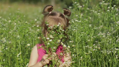 Little-blonde-child-girl-in-pink-dress-stay-on-flower-chamomile-grass-meadow.-Bouquet-of-daisies