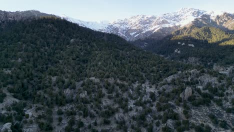 Los-árboles-Verdes-Cubren-El-Pico-De-La-Montaña.