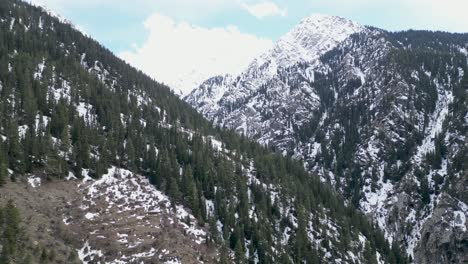 Snow-covered-mountain-peaks-surrounded-by-lush-green-trees