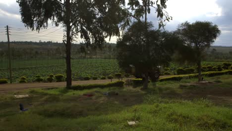 Traktor-Mit-Pestiziden-Spricht-Beim-Fahren-Auf-Einer-Kenianischen-Farm