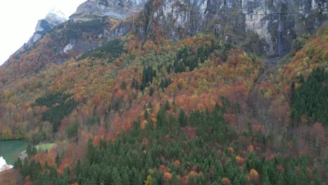 Hochgelegener-Tundrawald-Mit-Berggipfeln-Und-Einem-See