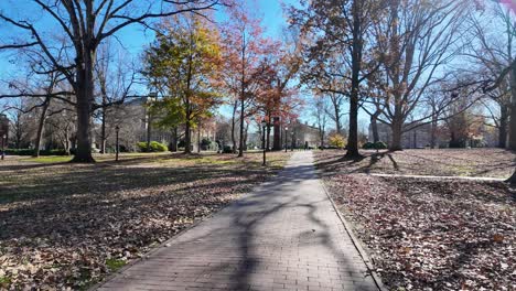 Campus-Walk-UNC-chapel-hill-winter-day-sunny-University-North-Carolina