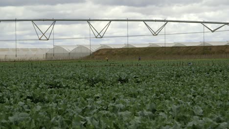 Bewässerungssystem-Und-Gewächshäuser-Im-Hintergrund-In-Kenia