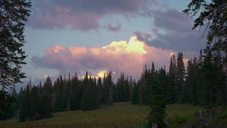 Tannenbäume-über-Bergen-Mit-Farbenprächtigem-Sonnenuntergangshimmel