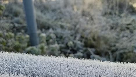 Spiky-frost-covered-wooden-fence-in-cold-winter-parkland-field-outdoors-in-chilly-wintertime