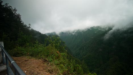 Aufnahmen-Der-Mit-Wald-Bedeckten-Berge-Auf-Madeira,-Portugal