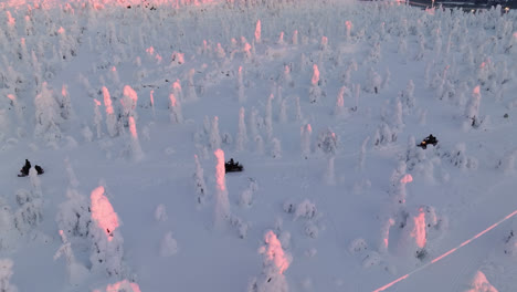 Luftbildverfolgung-Von-Schneemobilen,-Die-Zwischen-Verschneiten-Bäumen-Fahren,-Sonnenaufgang-In-Lappland