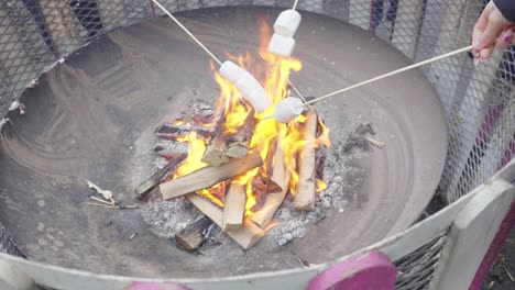 Large-industrial-pan,-burning-wood,-roasting-marshmallows-on-skewers