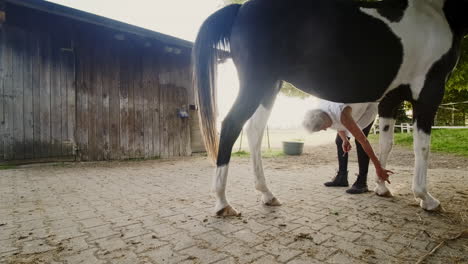 Experience-the-serene-care-of-an-elderly-woman-tending-to-her-horse,-delicately-cleaning-hoofs