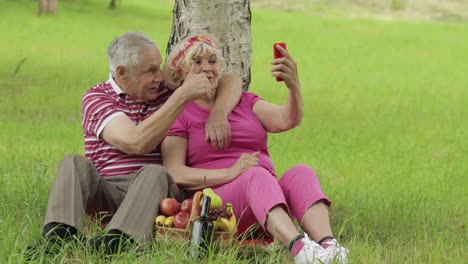 Picknick-Am-Familienwochenende.-Älteres-Altes-Großelternpaar-Im-Park-Per-Smartphone-Online-Videoanruf