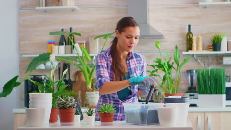Woman-house-gardening-in-kitchen