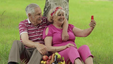 Family-weekend-picnic.-Senior-old-grandparents-couple-in-park-using-smartphone-online-video-call