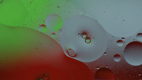 Macro-structure-of-colorful-oil-bubbles.-Chaotic-motion.-Abstract-multicolored-background.-Pattern