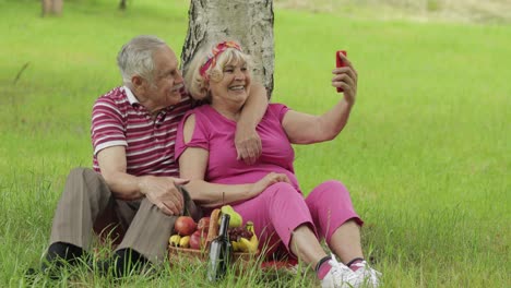 Family-weekend-picnic.-Senior-old-grandparents-couple-in-park-using-smartphone-and-makes-selfie