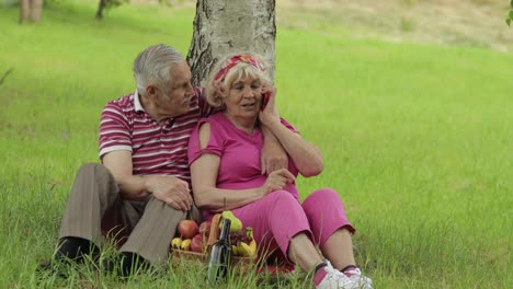 Family-weekend-picnic.-Senior-old-grandparents-couple-in-park-using-smartphone-online-video-call