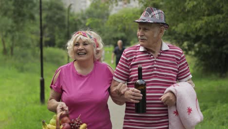 Family-weekend-picnic.-Active-senior-old-grandparents-couple-in-park.-Husband-and-wife-walk-together