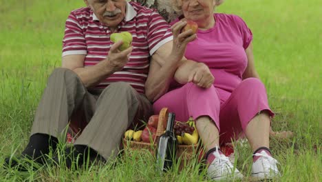 Familienwochenende-Picknick-Im-Park.-Aktives-älteres-Kaukasisches-Paar-Sitzt-Auf-Einer-Decke-Und-Isst-Früchte