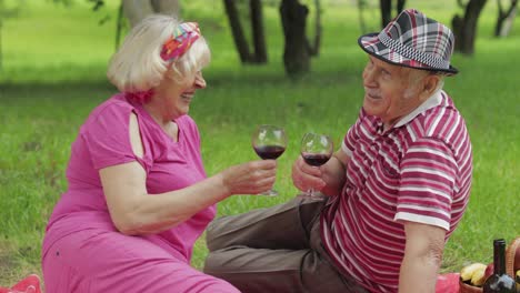 Family-weekend-picnic-in-park.-Active-senior-old-caucasian-couple-sit-on-blanket-and-drink-wine