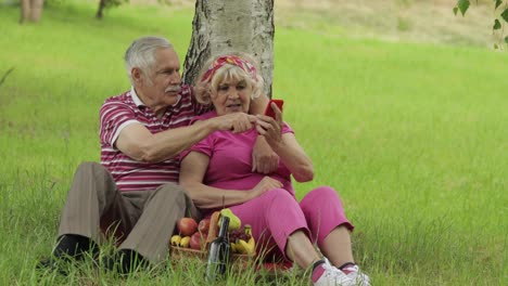 Family-weekend-picnic.-Senior-old-grandparents-couple-in-park-using-smartphone-online-browsing,-chat