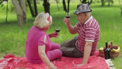 Family-weekend-picnic-in-park.-Senior-old-couple-sit-on-blanket-and-drink-wine.-Making-a-kiss.-Love
