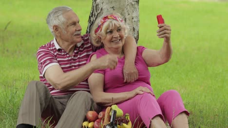 Family-weekend-picnic.-Senior-old-grandparents-couple-in-park-using-smartphone-and-makes-selfie