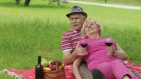 Family-weekend-picnic-in-park.-Active-senior-old-caucasian-couple-sit-on-blanket-and-drink-wine