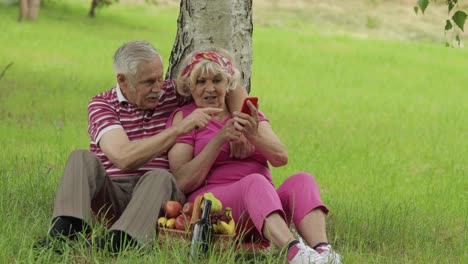 Family-picnic.-Senior-old-grandparents-couple-in-park-using-smartphone-online-browsing,-shopping