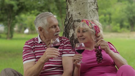 Family-weekend-picnic-in-park.-Senior-old-couple-sit-near-tree,-eating-fruits,-drinking-wine