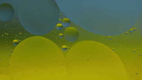 Makrostruktur-Aus-Bunten-Ölblasen.-Chaotische-Bewegung.-Abstrakter-Mehrfarbiger-Hintergrund.-Muster