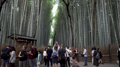 Turistas-Explorando-Y-Tomando-Fotografías-En-El-Bosque-De-Bambú-De-Arashiyama-En-Kyoto