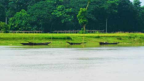 Barcos-Tradicionales-En-Un-Río-En-Bangladesh-Con-Exuberante-Vegetación-Y-Un-Bosque-Profundo-Al-Fondo.