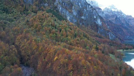 Langsames-Heranzoomen-Eines-Alpenwaldes-In-Den-Bergregionen-Mit-Hohen-Berggipfeln-Und-Schneebedeckten-Gipfeln