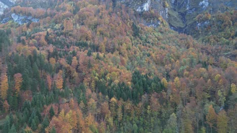 Schwenk-Von-Links-Nach-Rechts-Des-Hochgelegenen-Tundrawaldes-Am-Hang-Bergab