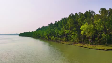 Ruhiger-Fluss-Mit-Sundarban-Mangrovenwald-In-Bangladesch
