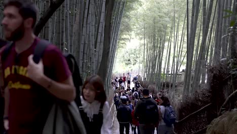 Blick-Auf-Geschäftige-Menschenmassen,-Die-Den-Von-Bambusbäumen-Gesäumten-Weg-In-Arashiyama-Entlanglaufen