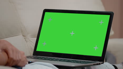 Close-up-of-horizontal-green-screen-on-laptop