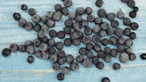 Defrosting-frozen-blueberry.-Timelapse-of-unfreezing,-ice-melting-of-fruits,-berries-on-blue-surface