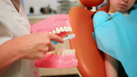 Primer-Plano-Del-Dentista-Demostrando-El-Cepillado-Profesional-De-Los-Dientes